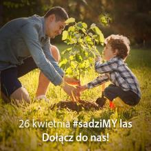 #sadziMY las z prezydentem Andrzejem Dudą